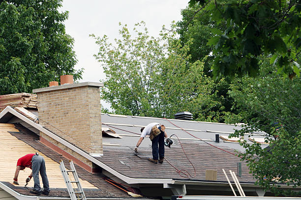 Best Local Roofing Companies  in Irvine, KY