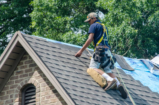 Professional Roofing Contractor in Irvine, KY
